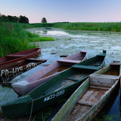 Dolina Górnej Narwi, Narwiański Park Narodowy, Podlasie