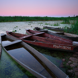 Dolina Górnej Narwi, Narwiański Park Narodowy, Podlasie