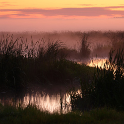 Upper Narew River Valley, Narew National Park, Podlasie