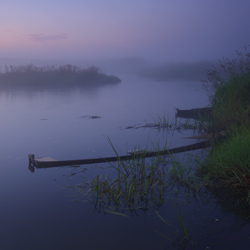 Upper Narew River Valley, Narew National Park, Podlasie