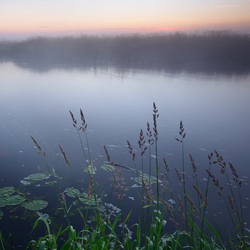 Upper Narew River Valley, Narew National Park, Podlasie