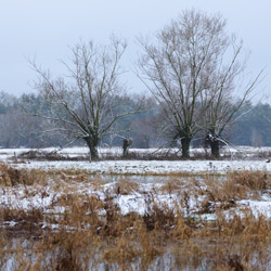 Dolina Górnej Narwi, Podlasie