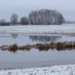 Dolina Górnej Narwi, Podlasie