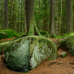 Table Mountains National Park