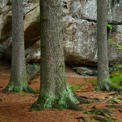 Table Mountains National Park