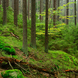 Table Mountains National Park