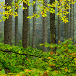 Table Mountains National Park