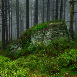 Park Narodowy Gór Stołowych