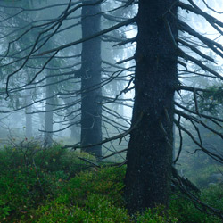 Table Mountains National Park