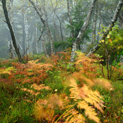 Table Mountains National Park