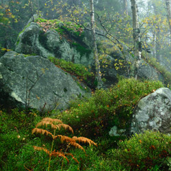 Table Mountains National Park