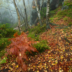 Table Mountains National Park