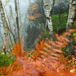 Table Mountains National Park