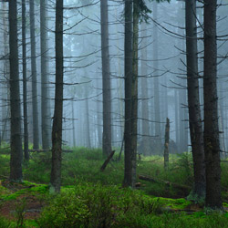 Park Narodowy Gór Stołowych