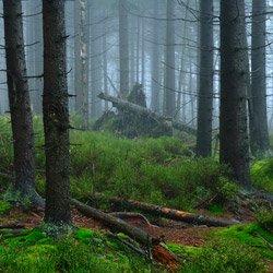 Table Mountains National Park