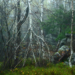 Table Mountains National Park