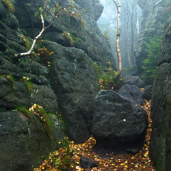 Table Mountains National Park