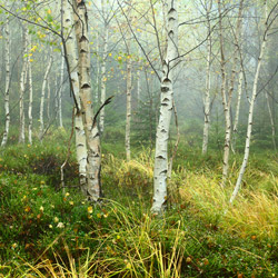 Table Mountains National Park