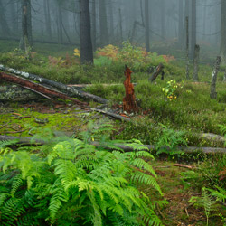 Table Mountains National Park