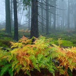 Table Mountains National Park