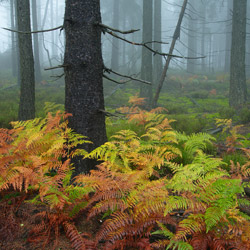 Table Mountains National Park