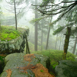 Table Mountains National Park