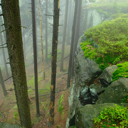 Table Mountains National Park