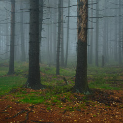 Park Narodowy Gór Stołowych