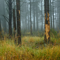 Table Mountains National Park