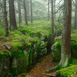 Table Mountains National Park