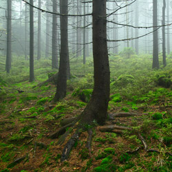 Park Narodowy Gór Stołowych