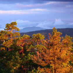 Table Mountains National Park