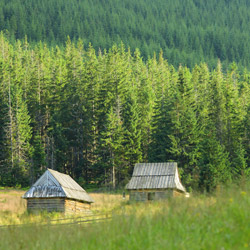 Tatry Zachodnie, Tatrzański Park Narodowy