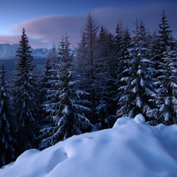 Tatrzański Park Narodowy, Tatry Zachodnie