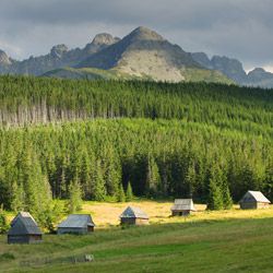 Western Tatras, Tatra National Park