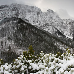 Tatry Zachodnie, Tatrzański Park Narodowy