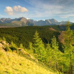 Tatry Zachodnie, Tatrzański Park Narodowy