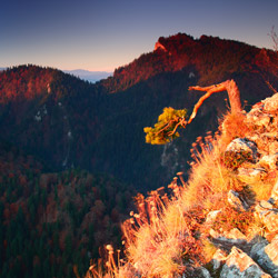 Central Pieniny, Pieniny National Park