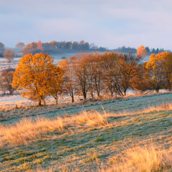 Pieniny Czorsztyńskie