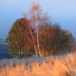 Pieniny Czorsztyńskie