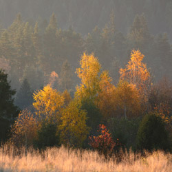 Pieniny Czorsztyńskie