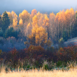 Czorsztyn Pieniny