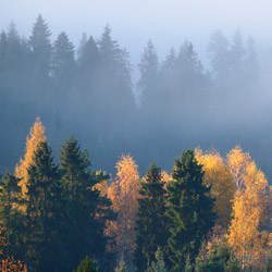 Pieniny Czorsztyńskie