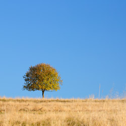 Pieniny Czorsztyńskie