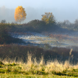 Pieniny Czorsztyńskie