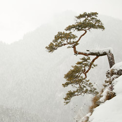 Pieniny Właściwe, Pieniński Park Narodowy