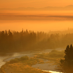 Kotlina Orawsko-Nowotarska/Pieniny Spiskie