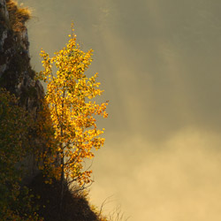 Central Pieniny, Pieniny National Park