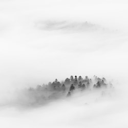 Central Pieniny, Pieniny National Park