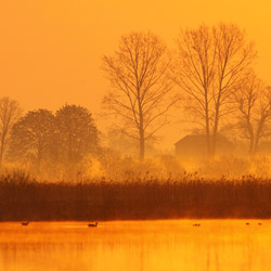 Lubartów Plain, Kozlowiecki Landscape Park